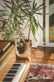 David Horder Professional Property Photography for Port Lane, Little Hallingbury