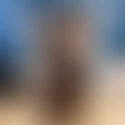 David Horder Medium Photo Package, Saffron Walden Property Photography