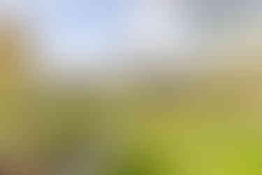 David Horder Professional Property Photography for Bishop's Stortford, Essex