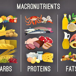Macronutrients Cheat Sheet ∙ Fitness ∙ Nutrition and Wellness Hack ∙ Life Hack