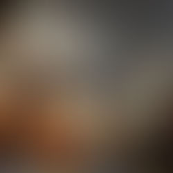 Gaius Julius Caesar: Summary ∙ Life Lessons from The Rise and Fall of The Great Roman Emperor