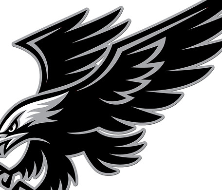 NicePng_hawks-logo-png_675052_edited_edited.jpg