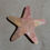 Thumbnail: Orange Starfish Magnet