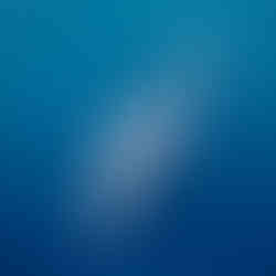 Wings Over Whales flight