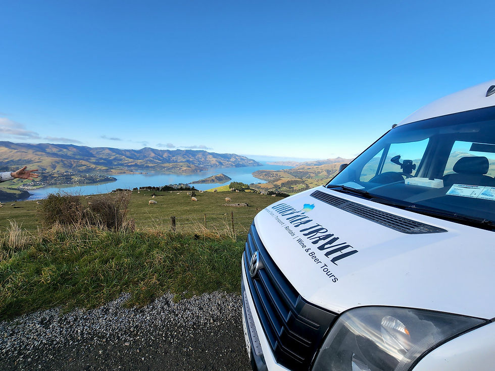 Cheeky-Kea-Van-to-Akaroa.jpg