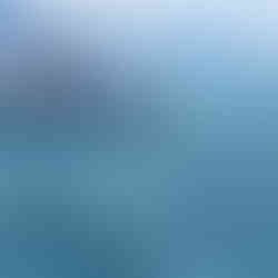 Kaikoura Encounter - dolphin experience