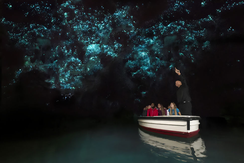 Waitomo-Glow-Worm-Caves-Boat-Tour.jpg