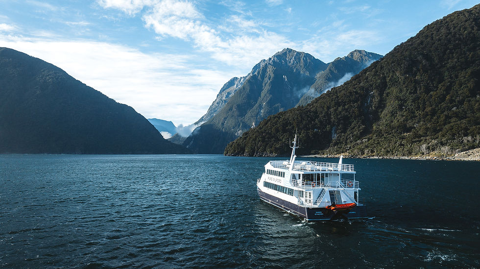 Pure-Milford-Boat-back.jpg