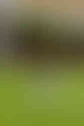 Waipara Springs wine