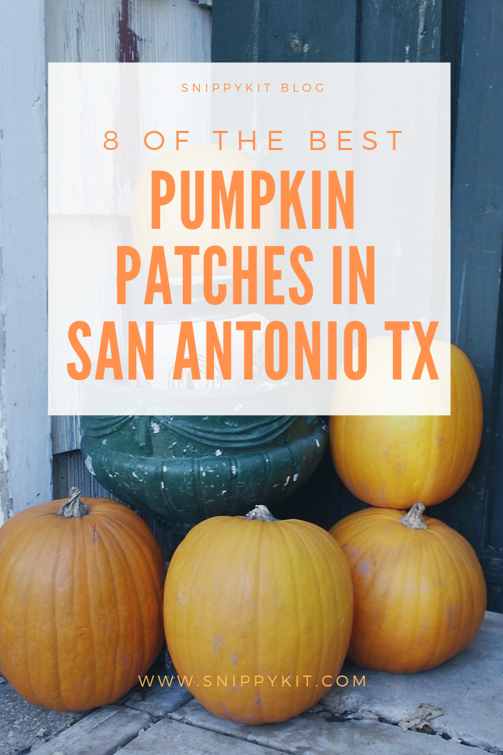 It is pumpkin patch season. Time to get the kids together and go out exploring Texas. Check this list of 8 best Pumpkin Patches in San Antonio Texas.