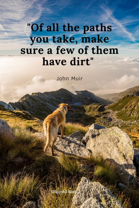 Life is an adventure. Inspirational quotes about travel and adventure: because even the most fearless go-getters need that bit of extra motivation to help us tackle the day.
