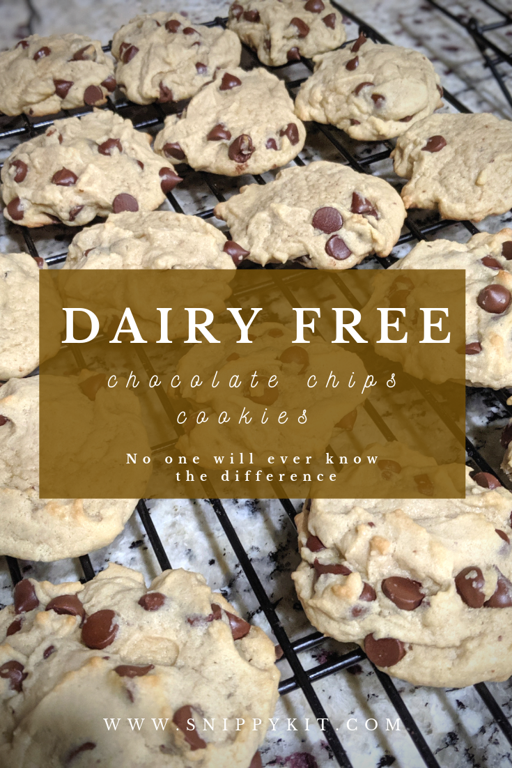 Dairy free cookies shouldn't taste different just because they are dairy free. This is a simple, chewy chocolate chip cookie recipe that will have everyone coming back for more. No one will even know it is dairy free.