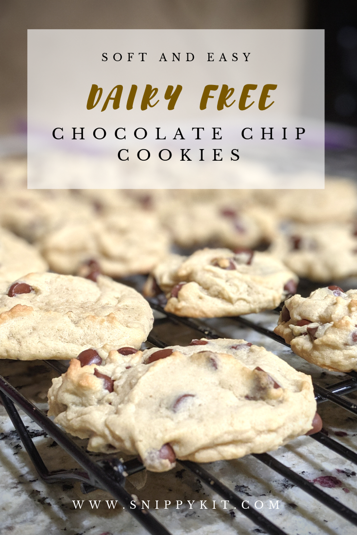 Dairy free cookies shouldn't taste different just because they are dairy free. This is a simple, chewy chocolate chip cookie recipe that will have everyone coming back for more. No one will even know it is dairy free.