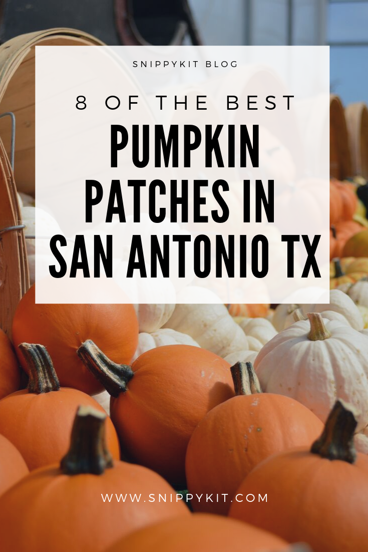 It is pumpkin patch season. Time to get the kids together and go out exploring Texas. Check this list of 8 best Pumpkin Patches in San Antonio Texas.