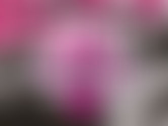 🏀 Club à l'honneur: Sainte Marie Basket : l’esprit de famille au cœur du jeu