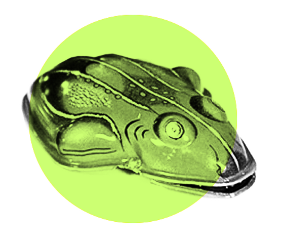 knackfrosch_frei_kreis.png