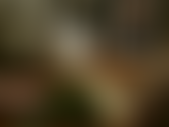 Похоронная урна