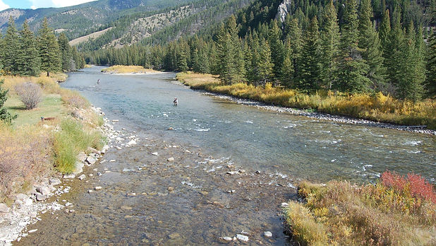 blue ribbon river montana.jpg