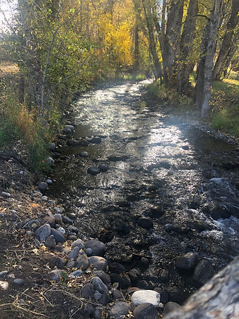 Cottonwood Creek.jpg