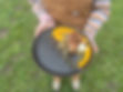 pheasant bodhi farms.JPEG