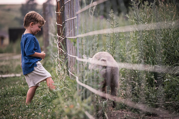 Food Festival Bodhi Farms 2024 Child Pig.jpg
