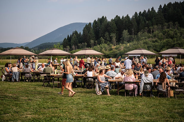 Food Festival Trees 2024 Copp.jpg