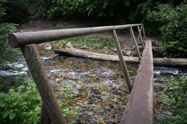 South Cottonwood.jpg