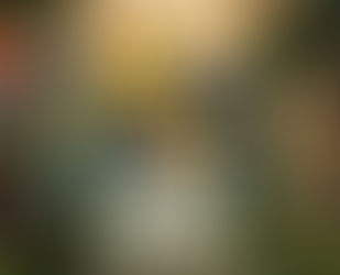 Adelantado Trilogy Book Two Free Download Full Version BETTER