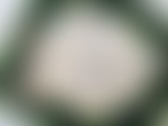 Zip Compupic Pro 623 Cracked Activation X32