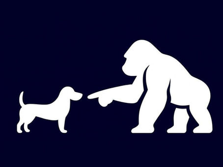BOOP! ON YOUR CHAIN: Arbitrum Memecoin Boop Is "Coming Soon" To ApeCoin. Here’s What We Know So Far
