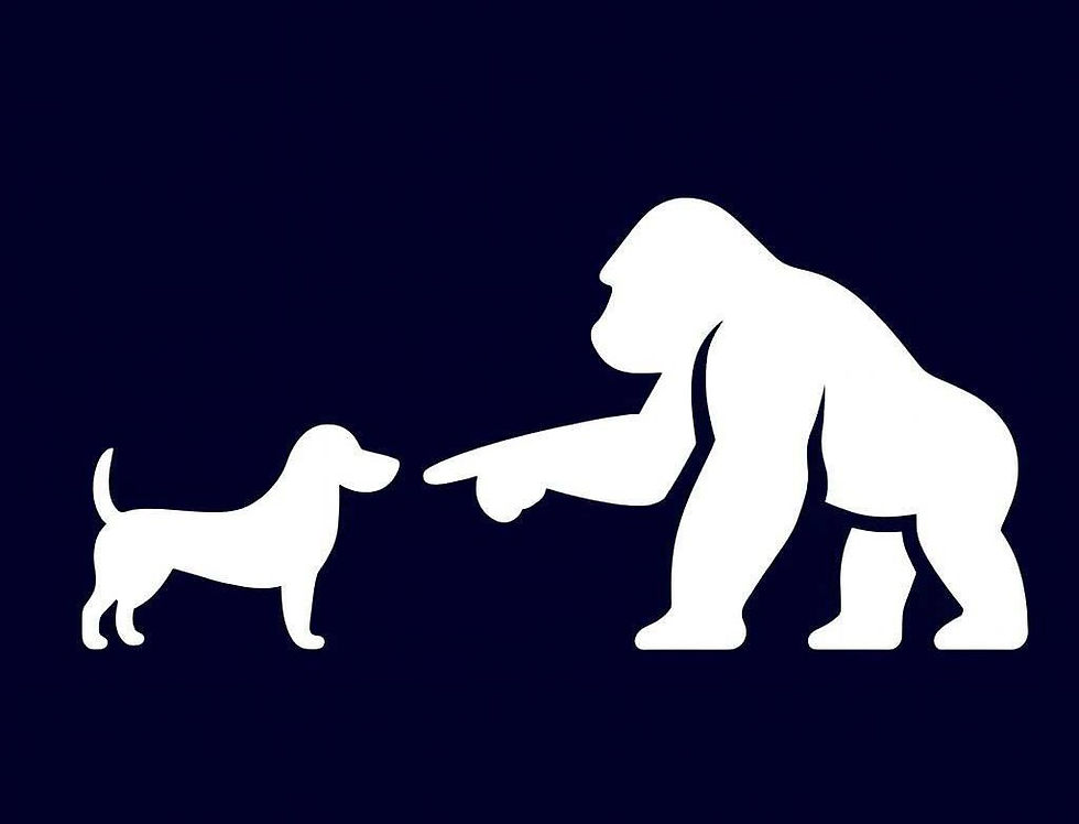BOOP! ON YOUR CHAIN: Arbitrum Memecoin Boop Is "Coming Soon" To ApeCoin. Here’s What We Know So Far