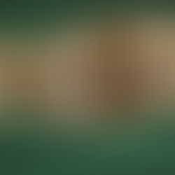 VIVA LAS APEFEST: BAYC Member TBoe3D Wins The First Ever Bored Ape Poker Classic, Taking Home A $7,000 Cash Prize And A Championship Bracelet Worth $20K!