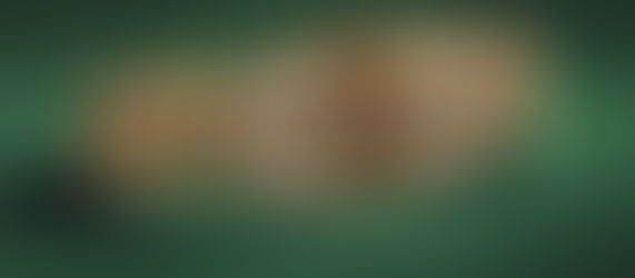 VIVA LAS APEFEST: BAYC Member TBoe3D Wins The First Ever Bored Ape Poker Classic, Taking Home A $7,000 Cash Prize And A Championship Bracelet Worth $20K!