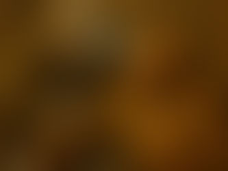 FROM THE SHADOWS TO THE APECHAIN ARENA: Bored Apes Will Be Going Primal In The Grand Games Of The Coliseum Soon!