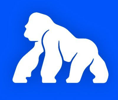 TALKING TREASURE: ApeCoin CEO Cameron Kates Hints At A Public Treasury Company And Says He “Needs More” Apes And ApeCoin!