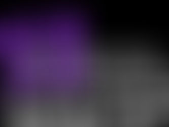 'BUILD& TELL': The BAYC Community Council Is Making A Monthly Newsletter To Spotlight Bored Businesses Around The Swamp!