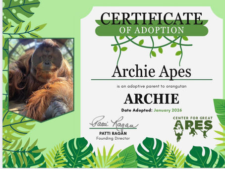 $APES SUPPORTING APE: Archie Apes And Their Founder DanYells Are Rallying ApeChain To Help Adopt A Real Life Ape Named Archie