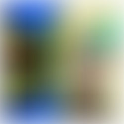 WIZARDING WEEKEND: Zards Founder Promises More Magic Ahead After Adam Weitsman’s First ApeChain NFT Purchase Casts A Spell And Sends The Floor Flying