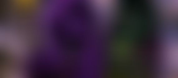 MOBILE MAGIC: Clutch Markets Special Project Mancer Launches Its New iPhone App, Bringing Robinhood Chain To The Palm Of Your Hand!