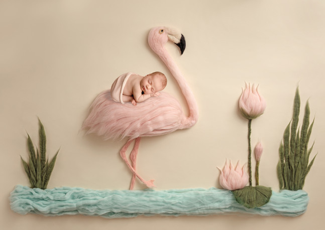 Merritt Island Newborn Photographer