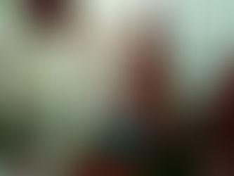 Vibes Natalinas \o/ Christmas Vibes