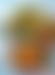 Eu que Fiz! 🥘 I made it!