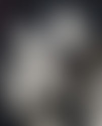 Arrasando! 🎬 #OSCAR 🎥Smashing!