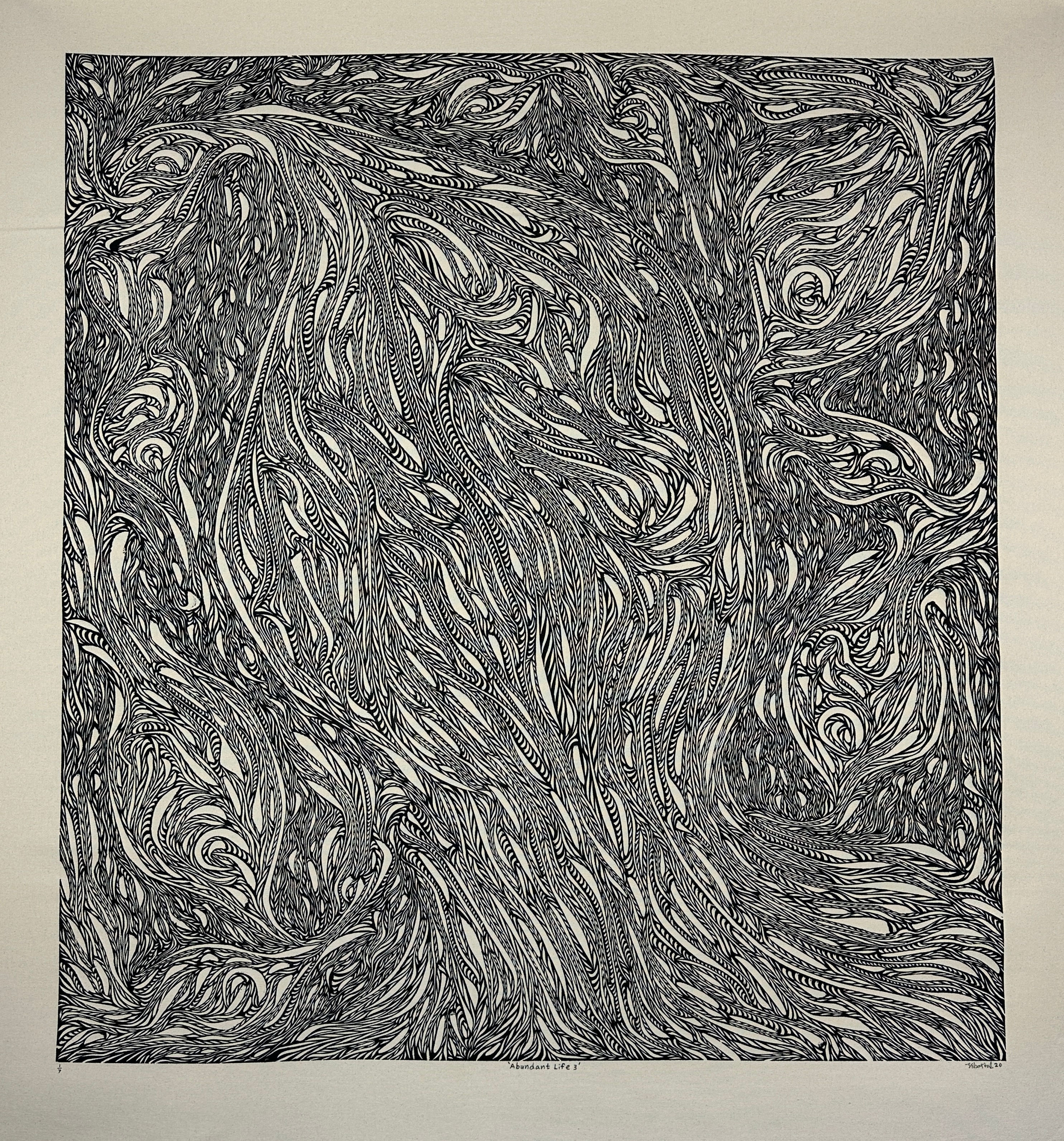 Abundant Life 3 (Series)