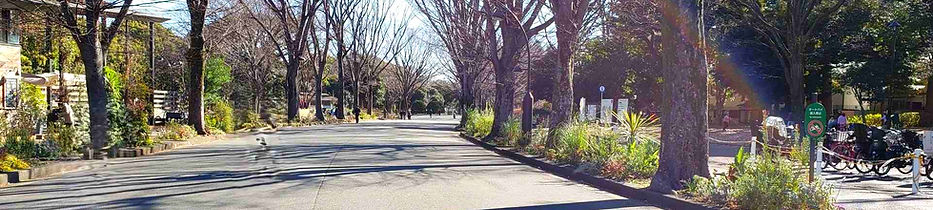 1111駒沢-20210119_103045_edited.jpg