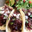 Thumbnail: Beef Cheeks