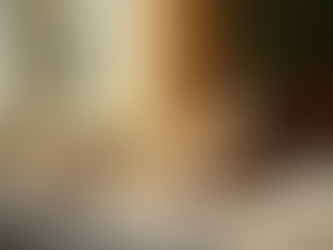 Love Without Expectations: Caring for Cats Who Will Never Leave