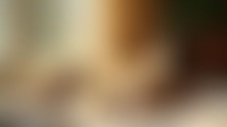 Love Without Expectations: Caring for Cats Who Will Never Leave