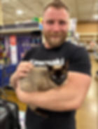 Siamese adoption