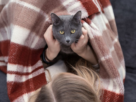 A Day in the Life of a Rescue Cat: What It Takes to Rehabilitate a Feline